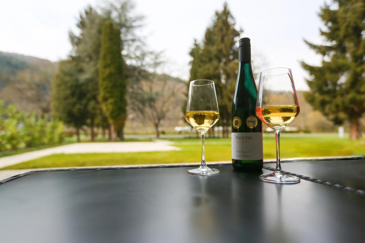 Rieslingresidenz Apartment Traben-Trarbach Ngoại thất bức ảnh